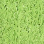 Grassy-Meadow_16-Moss